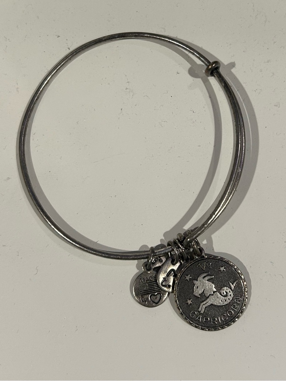 Alex And Ani Silver Tone Capricorn EWB Charms Bangle Bracelet